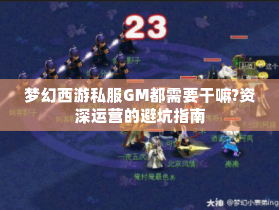 梦幻西游私服GM都需要干嘛?资深运营的避坑指南