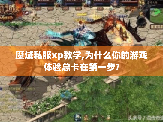 魔域私服xp教学,为什么你的游戏体验总卡在第一步?