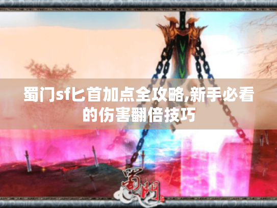 蜀门sf匕首加点全攻略,新手必看的伤害翻倍技巧