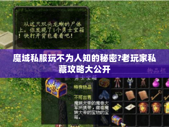 魔域私服玩不为人知的秘密?老玩家私藏攻略大公开 魔域私服玩不为人知的秘密?老玩家私藏攻略大公开