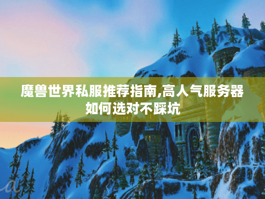 魔兽世界私服推荐指南,高人气服务器如何选对不踩坑