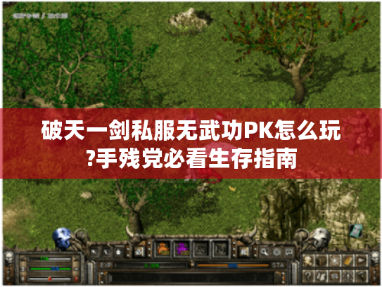 破天一剑私服无武功PK怎么玩?手残党必看生存指南 破天一剑私服无武功PK怎么玩?手残党必看生存指南