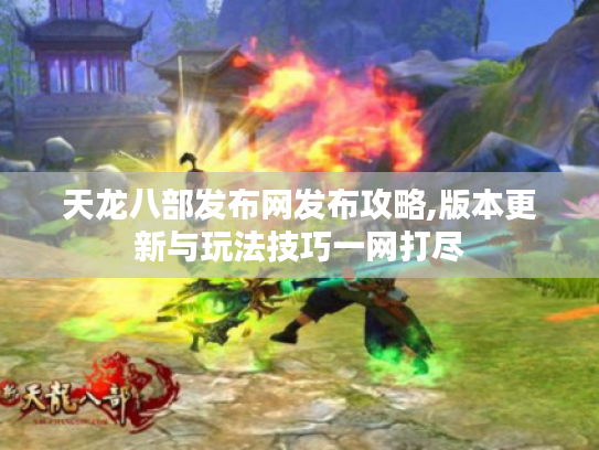 天龙八部发布网发布攻略,版本更新与玩法技巧一网打尽