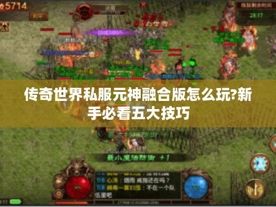 传奇世界私服元神融合版怎么玩?新手必看五大技巧