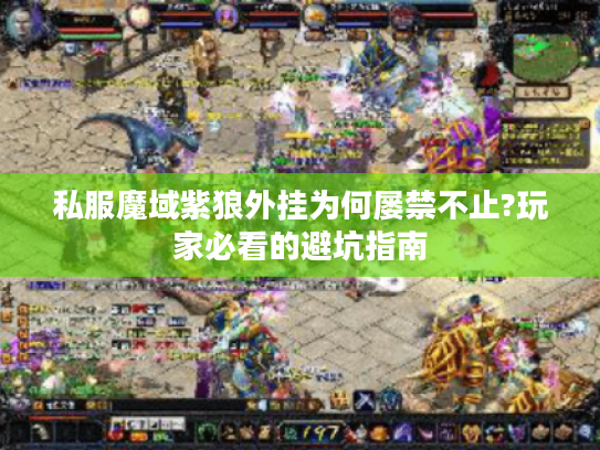 私服魔域紫狼外挂为何屡禁不止?玩家必看的避坑指南