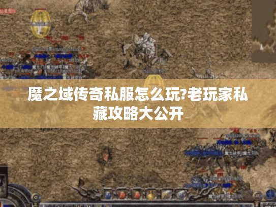 魔之域传奇私服怎么玩?老玩家私藏攻略大公开