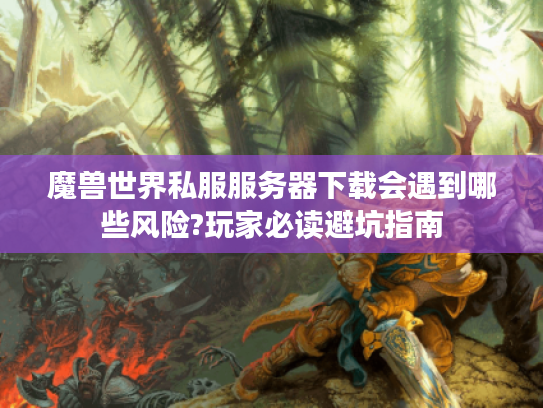 魔兽世界私服服务器下载会遇到哪些风险?玩家必读避坑指南