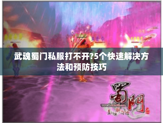 武魂蜀门私服打不开?5个快速解决方法和预防技巧