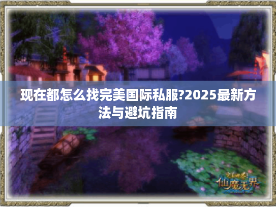 现在都怎么找完美国际私服?2025最新方法与避坑指南