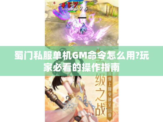 蜀门私服单机GM命令怎么用?玩家必看的操作指南