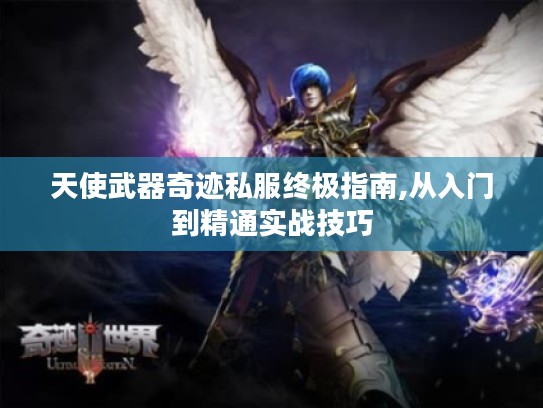 天使武器奇迹私服终极指南,从入门到精通实战技巧