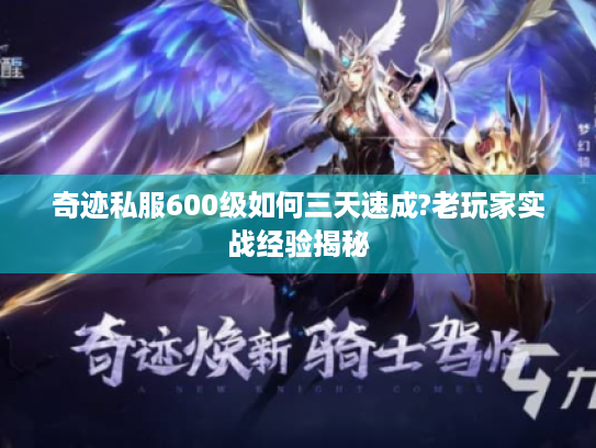 奇迹私服600级如何三天速成?老玩家实战经验揭秘