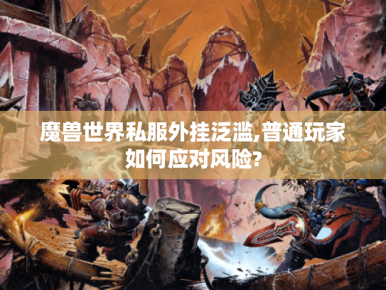 魔兽世界私服外挂泛滥,普通玩家如何应对风险?