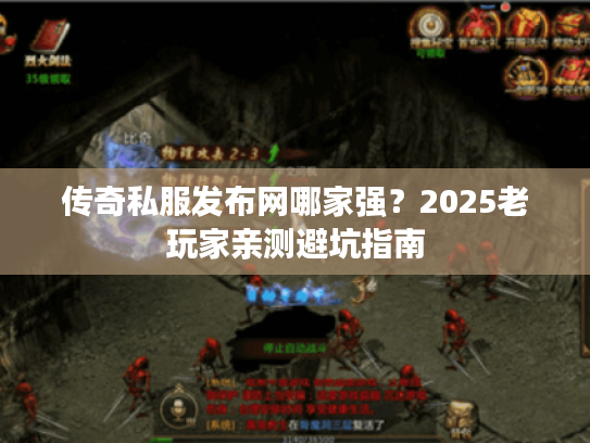 传奇私服发布网哪家强？2025老玩家亲测避坑指南