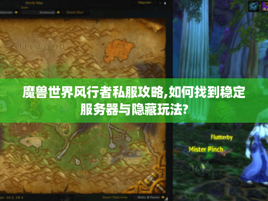 魔兽世界风行者私服攻略,如何找到稳定服务器与隐藏玩法?