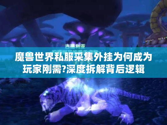 魔兽世界私服采集外挂为何成为玩家刚需?深度拆解背后逻辑