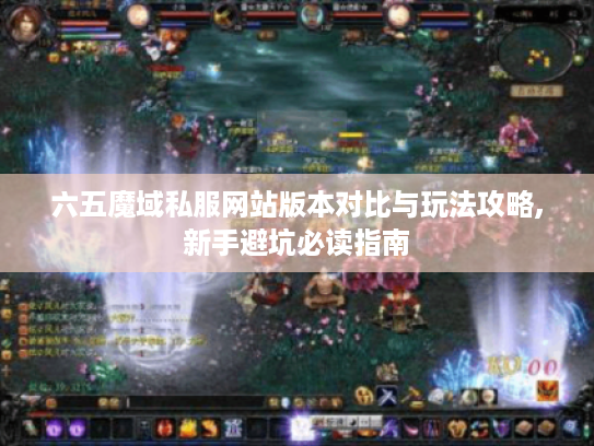 六五魔域私服网站版本对比与玩法攻略,新手避坑必读指南