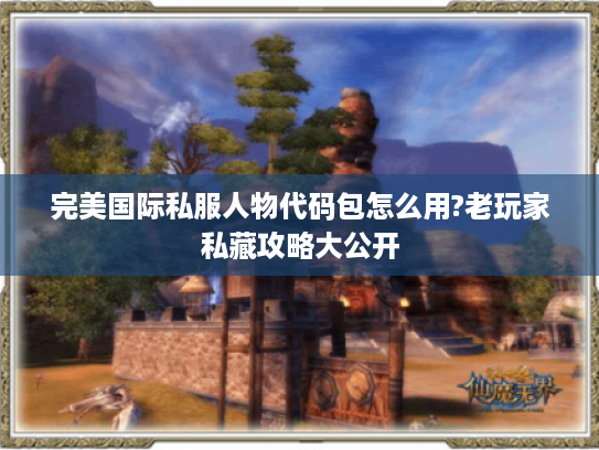 完美国际私服人物代码包怎么用?老玩家私藏攻略大公开