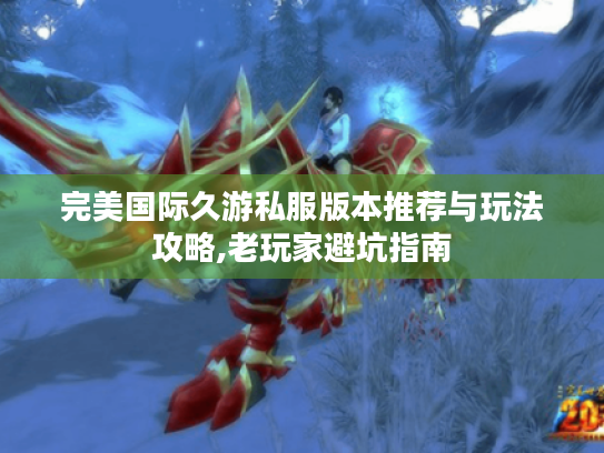 完美国际久游私服版本推荐与玩法攻略,老玩家避坑指南