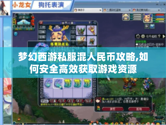 梦幻西游私服混人民币攻略,如何安全高效获取游戏资源