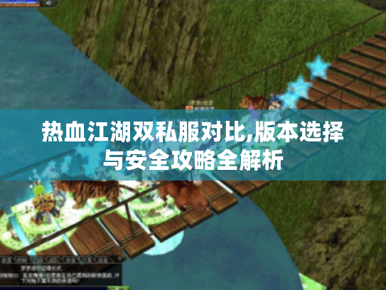 热血江湖双私服对比,版本选择与安全攻略全解析