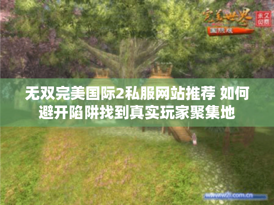 无双完美国际2私服网站推荐 如何避开陷阱找到真实玩家聚集地 无双完美国际2私服网站推荐 如何避开陷阱找到真实玩家聚集地