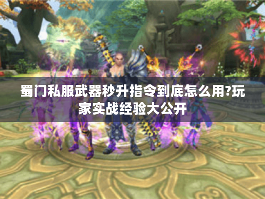 蜀门私服武器秒升指令到底怎么用?玩家实战经验大公开