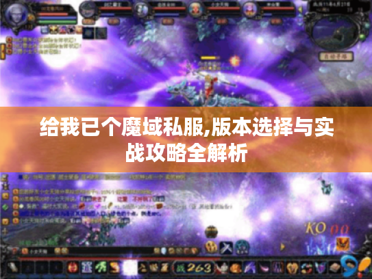 给我已个魔域私服,版本选择与实战攻略全解析
