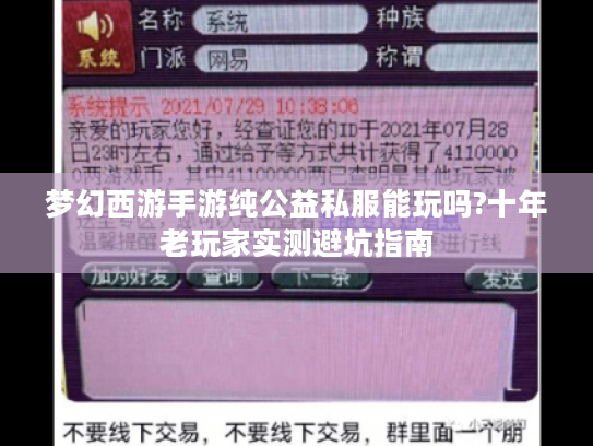 梦幻西游手游纯公益私服能玩吗?十年老玩家实测避坑指南