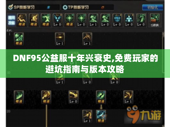 DNF95公益服十年兴衰史,免费玩家的避坑指南与版本攻略