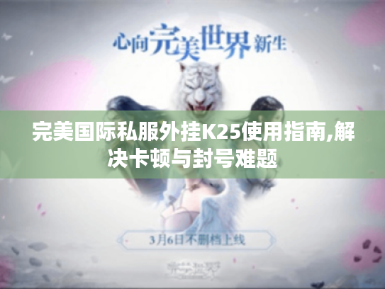 完美国际私服外挂K25使用指南,解决卡顿与封号难题