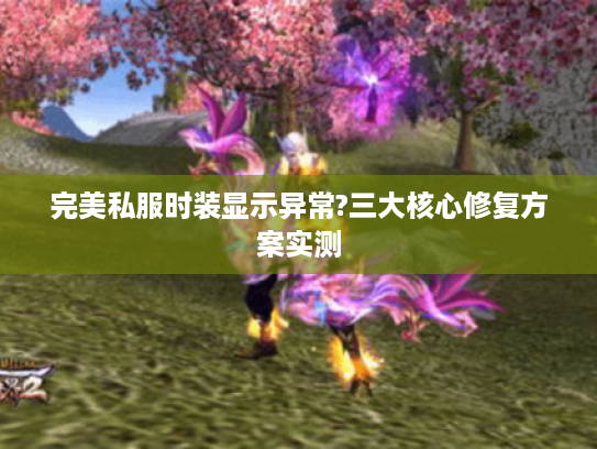 完美私服时装显示异常?三大核心修复方案实测