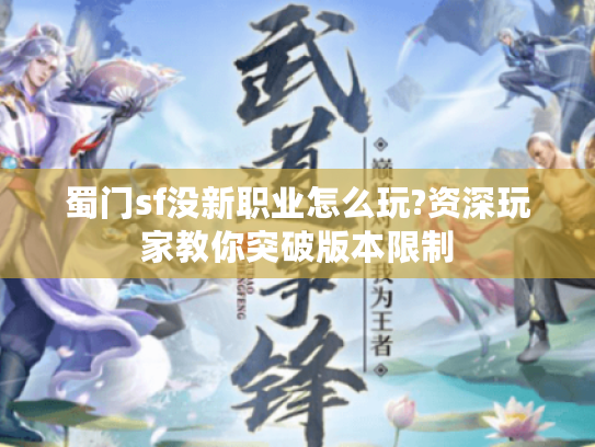 蜀门sf没新职业怎么玩?资深玩家教你突破版本限制