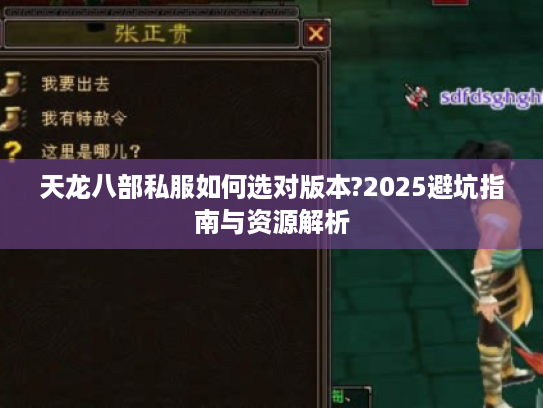天龙八部私服如何选对版本?2025避坑指南与资源解析