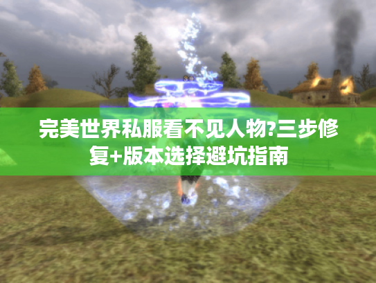 完美世界私服看不见人物?三步修复+版本选择避坑指南