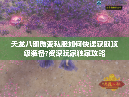 天龙八部微变私服如何快速获取顶级装备?资深玩家独家攻略