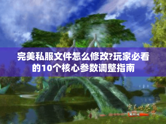 完美私服文件怎么修改?玩家必看的10个核心参数调整指南