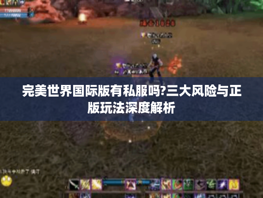完美世界国际版有私服吗?三大风险与正版玩法深度解析