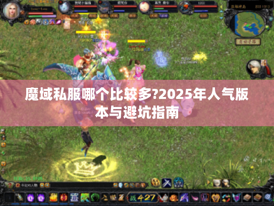 魔域私服哪个比较多?2025年人气版本与避坑指南