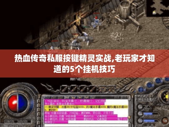 热血传奇私服按键精灵实战,老玩家才知道的5个挂机技巧 热血传奇私服按键精灵实战,老玩家才知道的5个挂机技巧