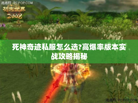 死神奇迹私服怎么选?高爆率版本实战攻略揭秘