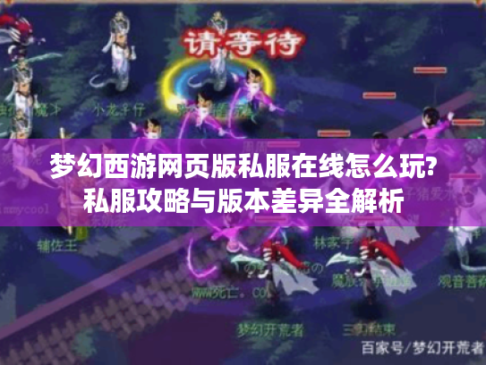 梦幻西游网页版私服在线怎么玩?私服攻略与版本差异全解析