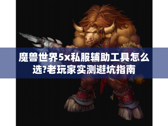 魔兽世界5x私服辅助工具怎么选?老玩家实测避坑指南