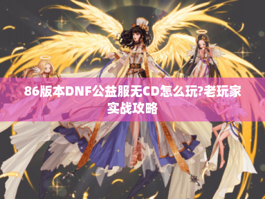 86版本DNF公益服无CD怎么玩?老玩家实战攻略