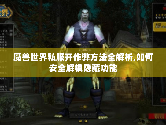 魔兽世界私服开作弊方法全解析,如何安全解锁隐藏功能