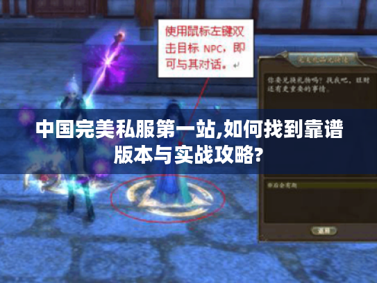 中国完美私服第一站,如何找到靠谱版本与实战攻略?