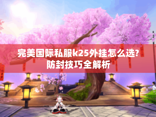 完美国际私服k25外挂怎么选?防封技巧全解析
