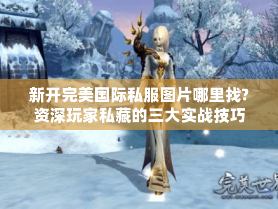 新开完美国际私服图片哪里找?资深玩家私藏的三大实战技巧