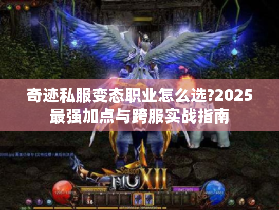 奇迹私服变态职业怎么选?2025最强加点与跨服实战指南