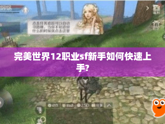 完美世界12职业sf新手如何快速上手? 完美世界12职业sf新手如何快速上手?